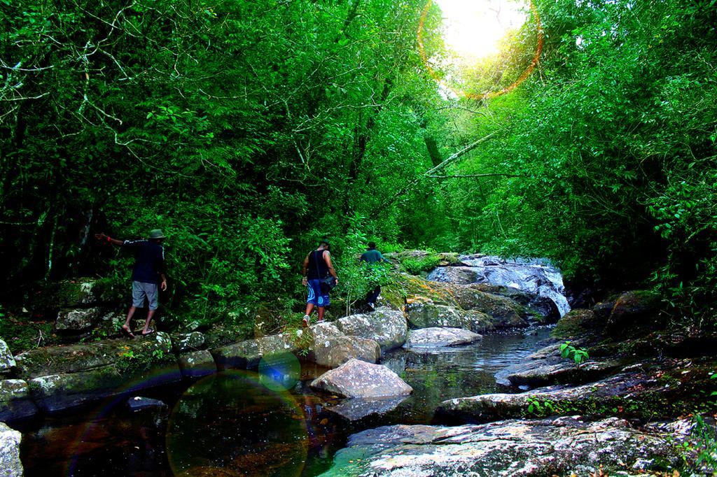 The Rainforest Ecolodge - Sinharaja With Shuttle Service From Car Park Deniyaya Extérieur photo