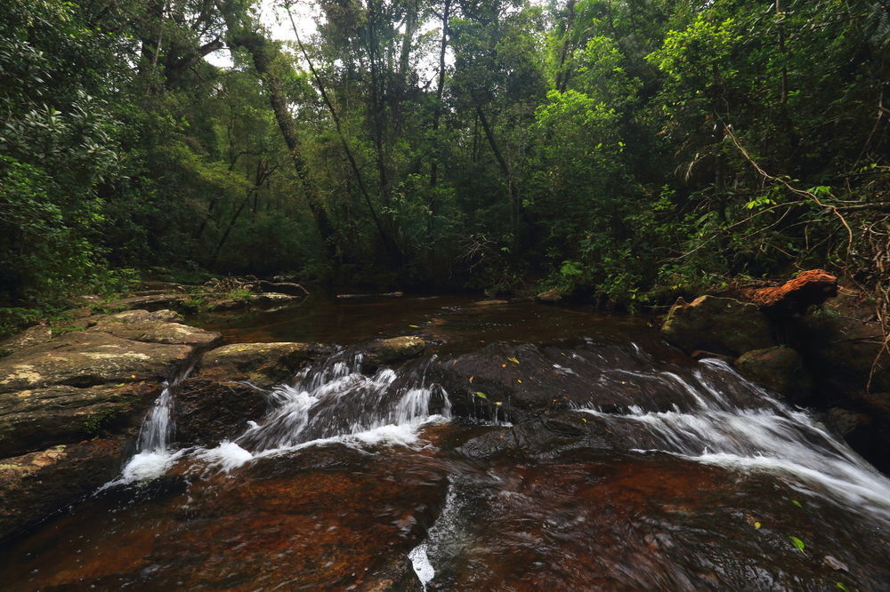 The Rainforest Ecolodge - Sinharaja With Shuttle Service From Car Park Deniyaya Extérieur photo