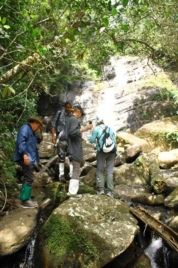 The Rainforest Ecolodge - Sinharaja With Shuttle Service From Car Park Deniyaya Extérieur photo